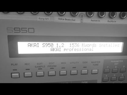 Akai S950 RAM expansion module